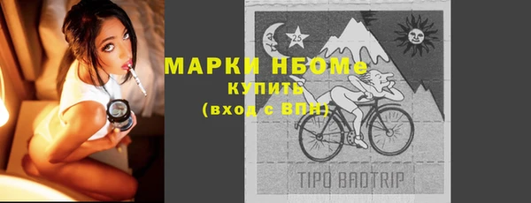 гашик Богородск