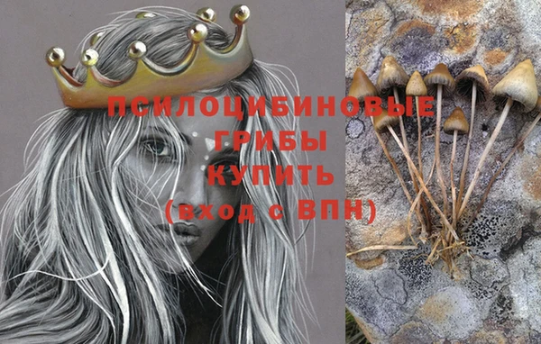ALPHA PVP Верея