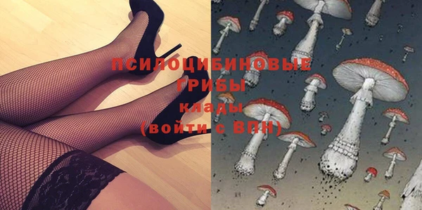 мдпв Богородицк