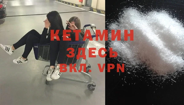 дмт Богданович