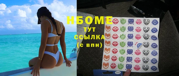 гашик Богородск